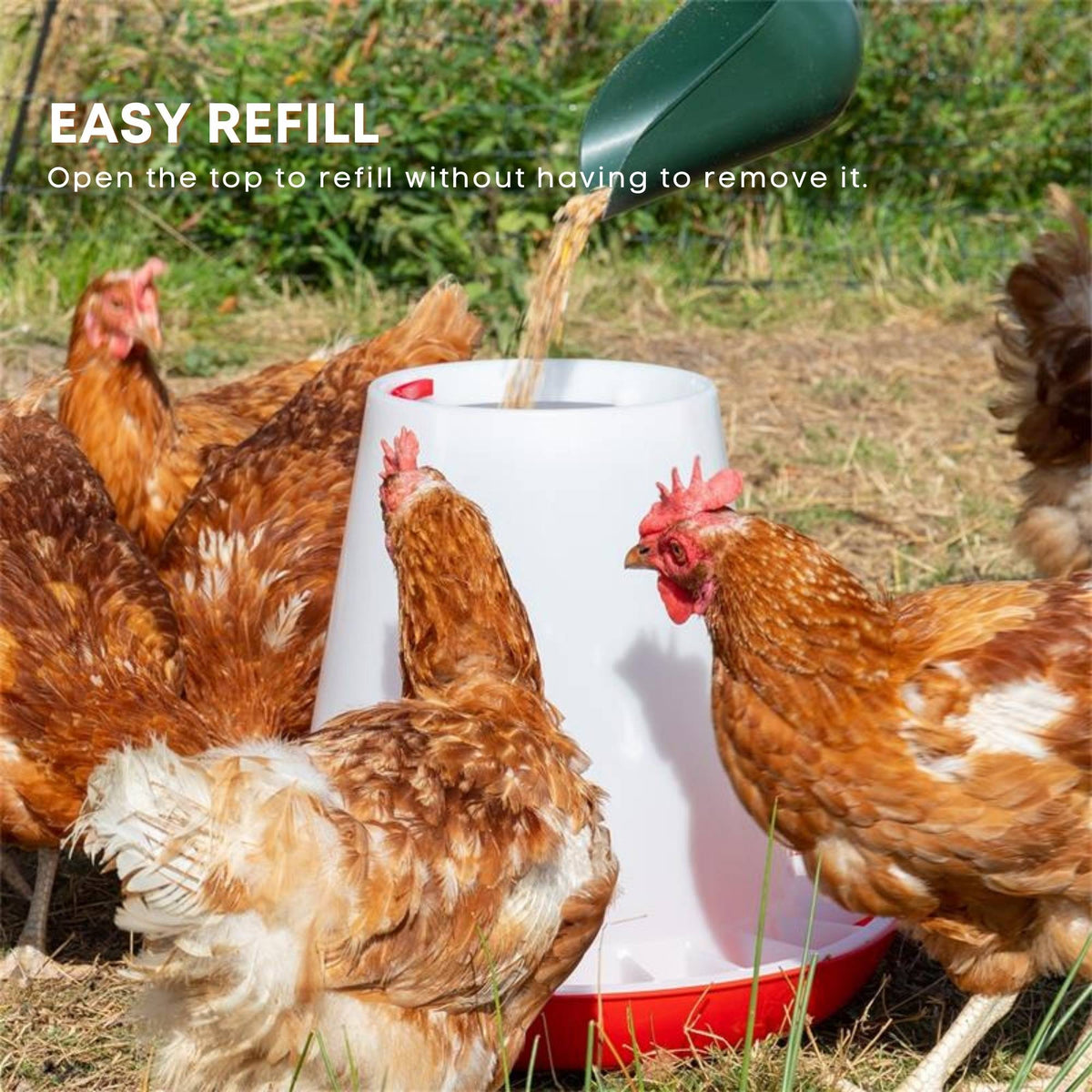 Rooster Farms 3Kg Automatic Chicken Feeder - Poultry Hen Feeding Seed Bucket