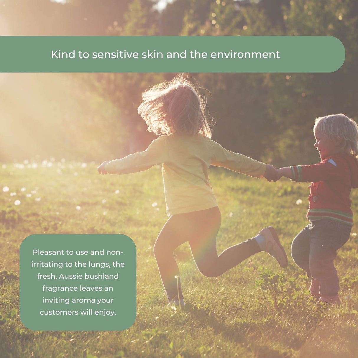 4L Multipurpose Cleaner Bosisto's Commercial Strength Concentrate Eucalyptus Oil