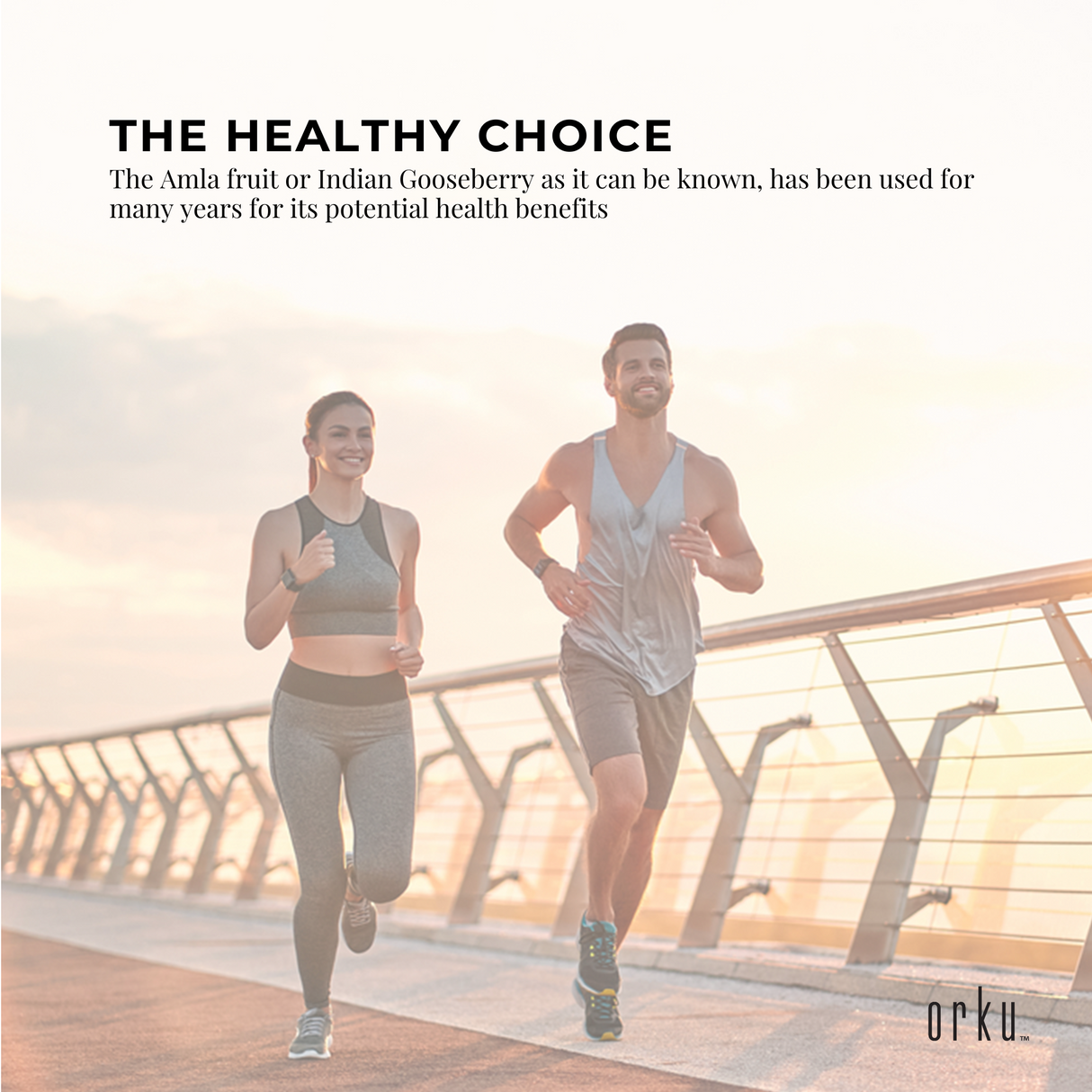 Bulk 20Kg Premium Organic Amla Powder - Indian Gooseberry Supplement