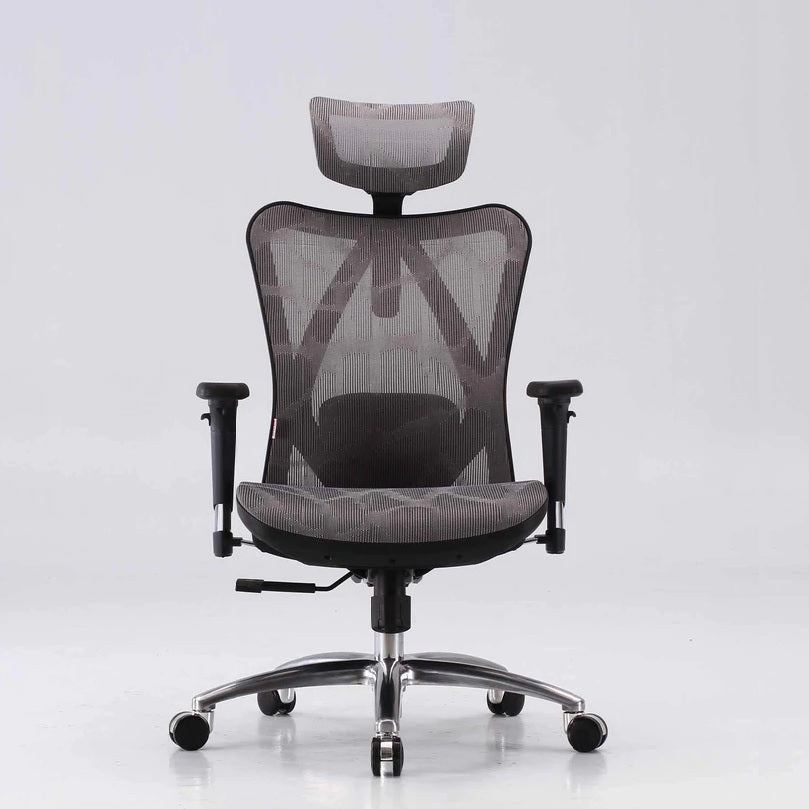 Sihoo M57 Ergonomic Office Chair Computer Chair Desk Chair High Back Chair Breathable3D Armrest and Lumbar Support Grey without Footrest