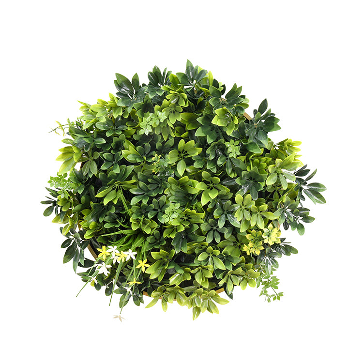 YES4HOMES Artificial Green Wall Plant Garden Panel Daffodil Smile Disc Art 50cm Grassy UV Resistant Frame