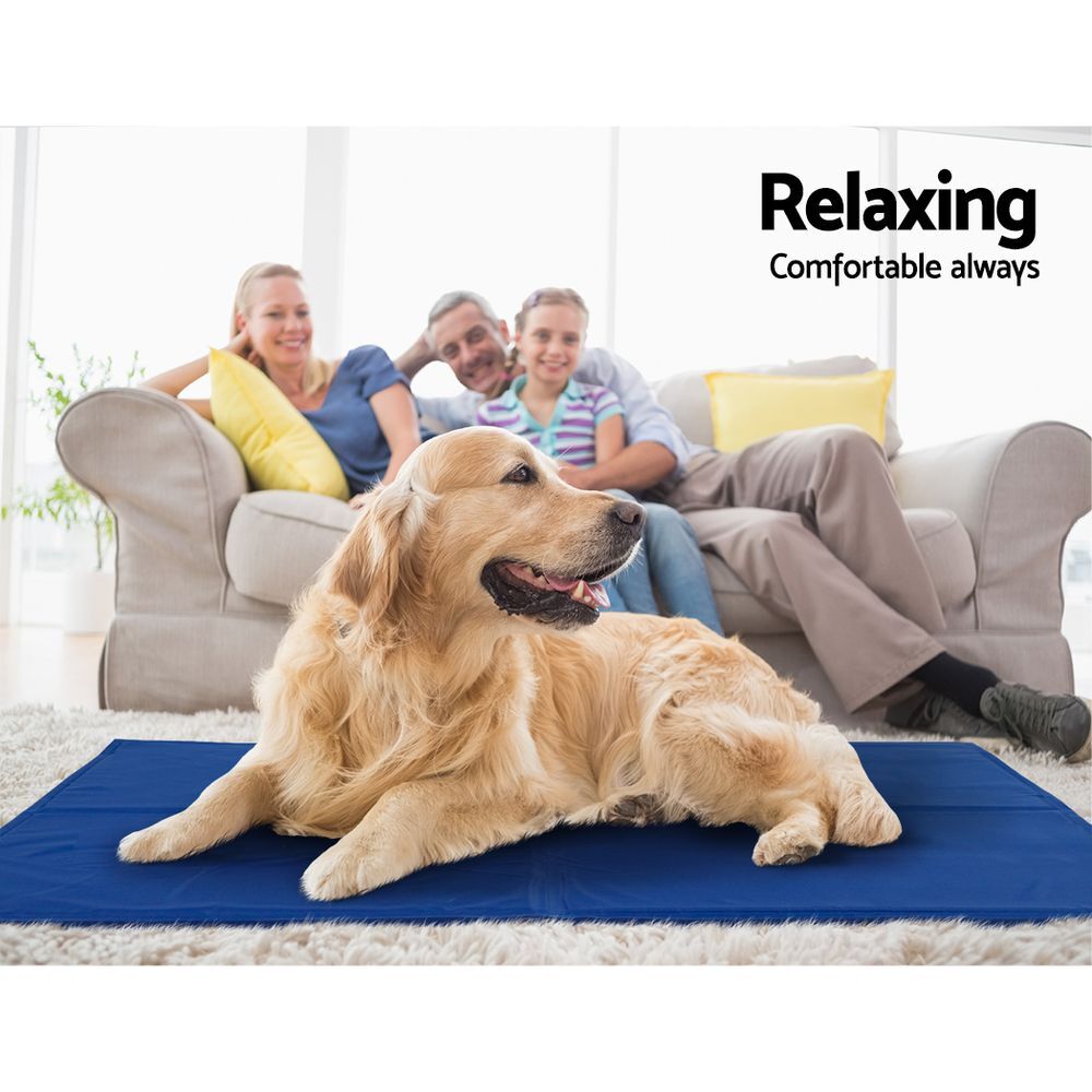 2 X Pet Cooling Bed Gel Mat Dog Cat Non-Toxic Cool Pad Puppy Cold Summer 50x40 CM