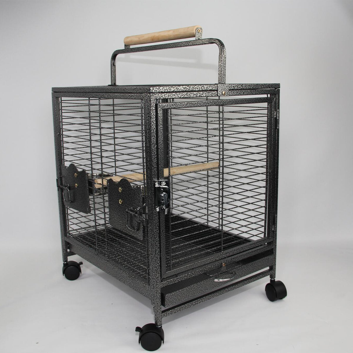 Beautiful view of Motorized Parrot Aviary Wheel System