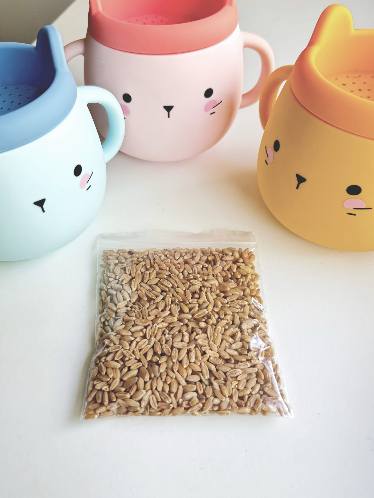 Whisker Wonderland Premium Cat Grass Seeds Refill - Hydroponic & Soil-Free Growing | Natural Digestion & Hairball Aid for Cats | Fresh & Nutritious