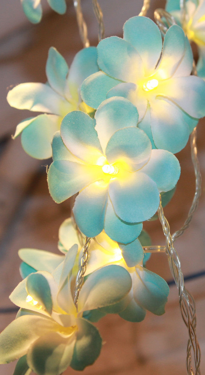 1 Set of 50 LED Tropical Blue Frangipani Flower Battery 5m LONG String Lights Christmas Gift Home Wedding Beach Party Decoration Outdoor Table Centrepiece