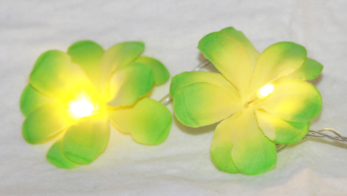 20 LED Green Frangipani Flower Battery-Powered String Lights for Home, Wedding, and Party Decorations - 3m Garland for Indoor and Outdoor Use