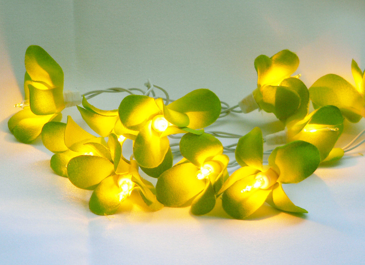 20 LED Green Frangipani Flower Battery-Powered String Lights for Home, Wedding, and Party Decorations - 3m Garland for Indoor and Outdoor Use