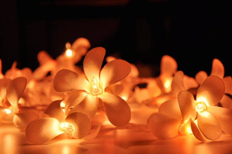 20 LED Orange Frangipani Flower Fairy String Lights - Battery-Powered Decorative Lights for Home, Weddings, and Parties