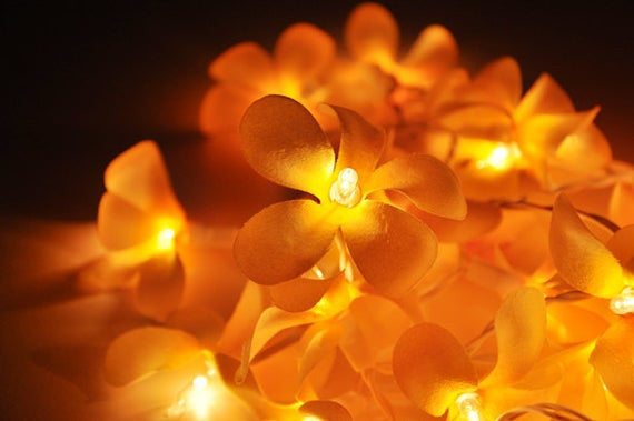 20 LED Orange Frangipani Flower Fairy String Lights - Battery-Powered Decorative Lights for Home, Weddings, and Parties