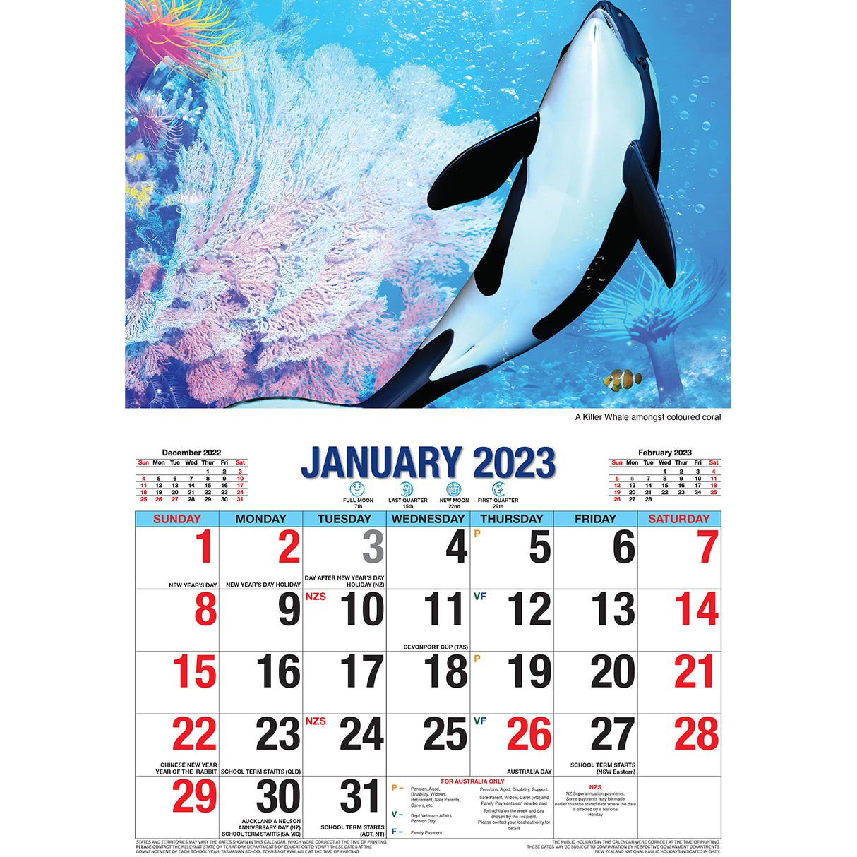 Ocean Wild ??2023 Rectangle Wall Calendar 16 Months Planner New Year Gift