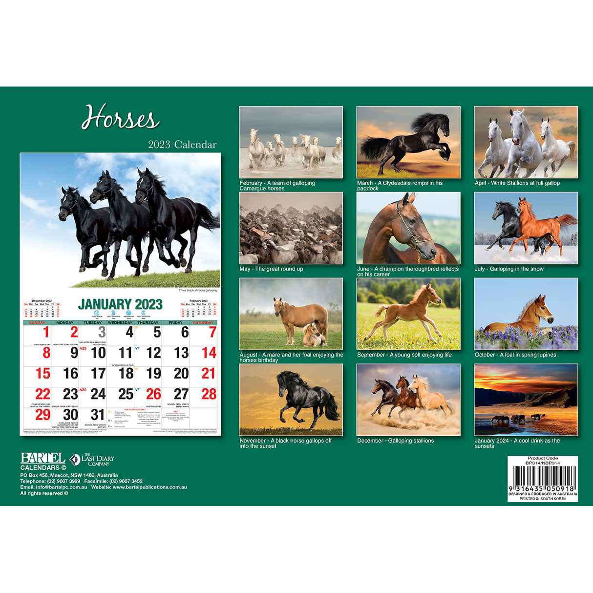 Horses ??2023 Rectangle Wall Calendar 16 Months Planner New Year Christmas Gift
