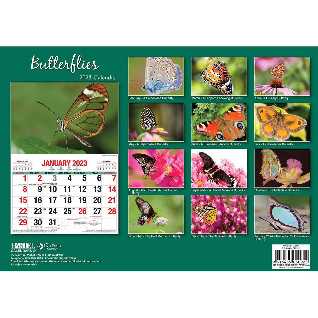 Butterflies ??2023 Rectangle Wall Calendar 16 Months Planner New Year Gift