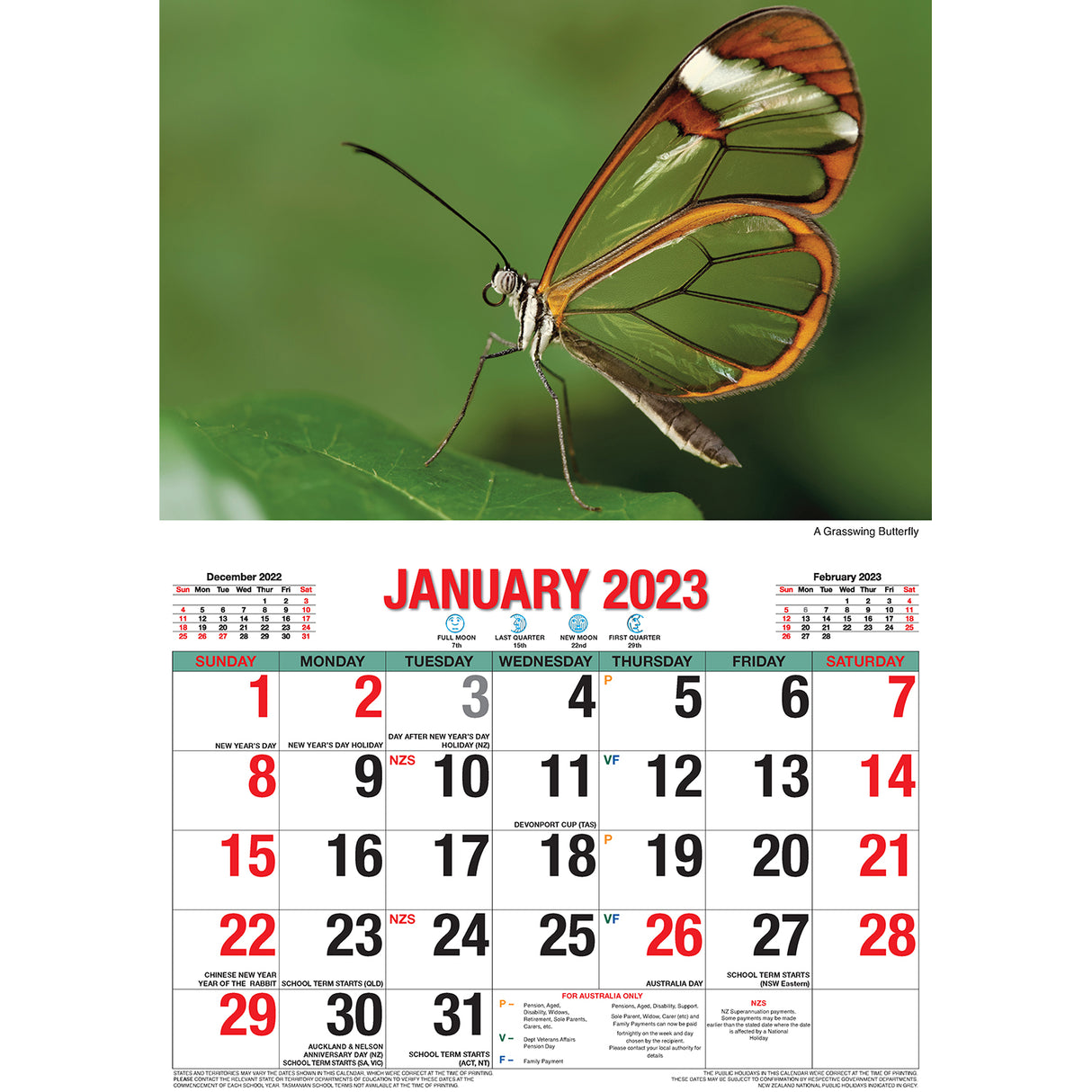 Butterflies ??2023 Rectangle Wall Calendar 16 Months Planner New Year Gift