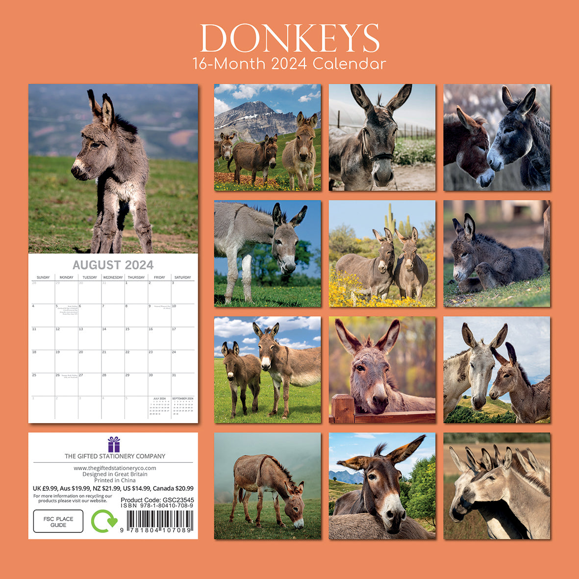 Donkeys - 2024 Square Wall Calendar Pets Animals 16 Months New Year Planner Gift