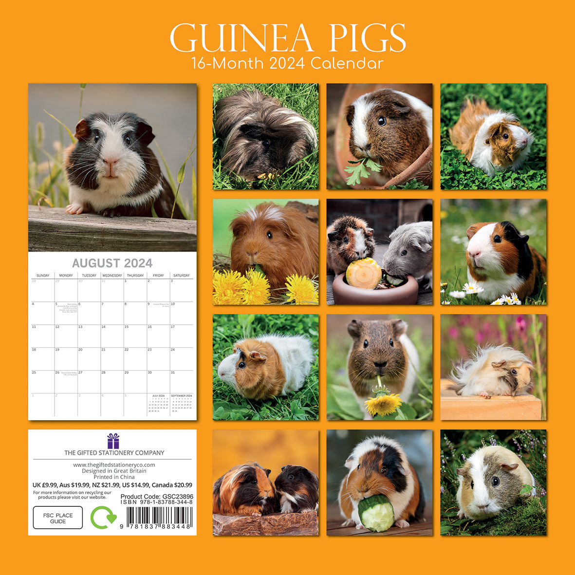 Guinea Pigs - 2024 Square Wall Calendar Cute Pets Animals 16 Months Planner Gift