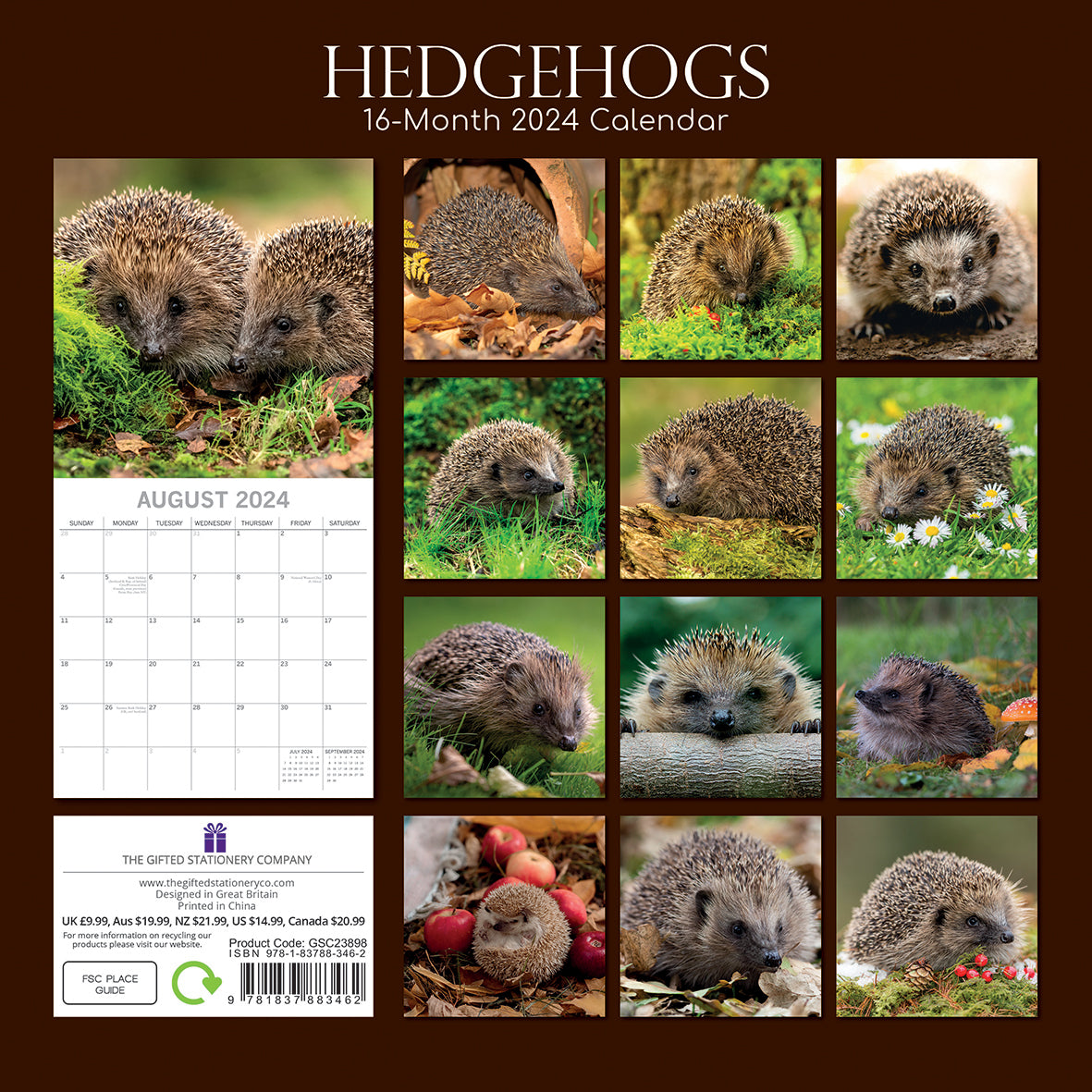 Hedgehogs - 2024 Square Wall Calendar Cute Pets Animals 16 Month Premium Planner