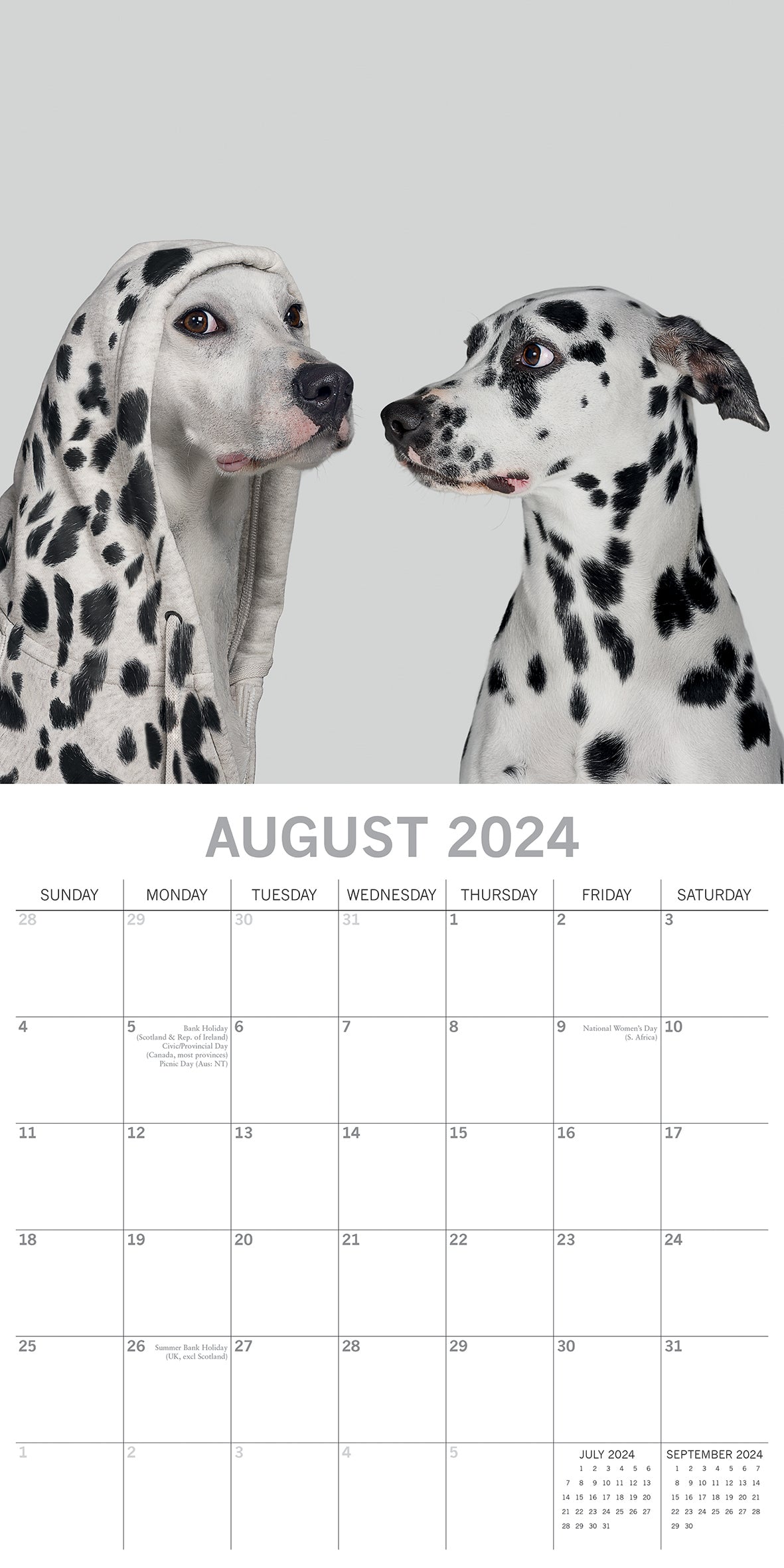 Dogs as Animals 2024 Square Wall Calendar Pets Animals 16 Months Premium Planner