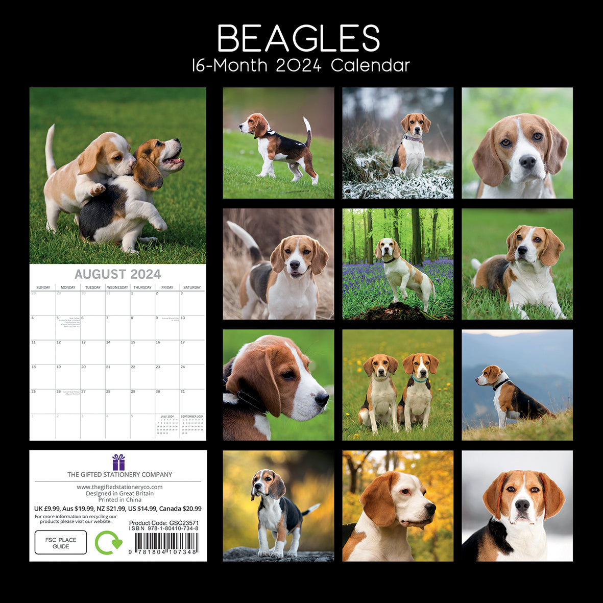 Beagles - 2024 Square Wall Calendar Pets Dog 16 Months Premium Planner New Year
