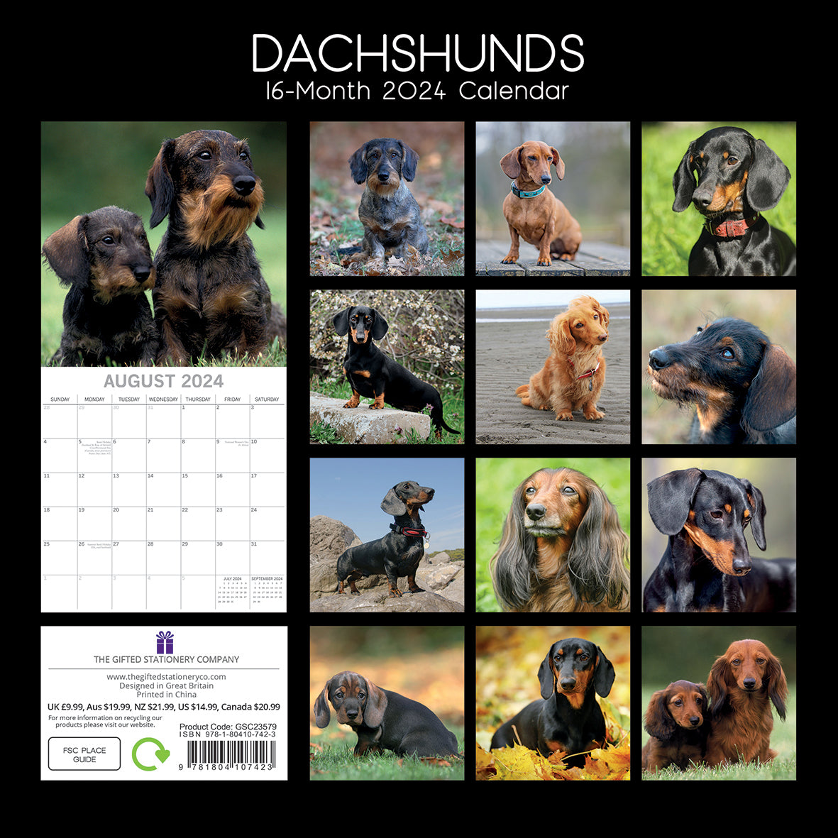 Dachshunds 2024 Square Wall Calendar Pets Dog 16 Months Premium Planner New Year