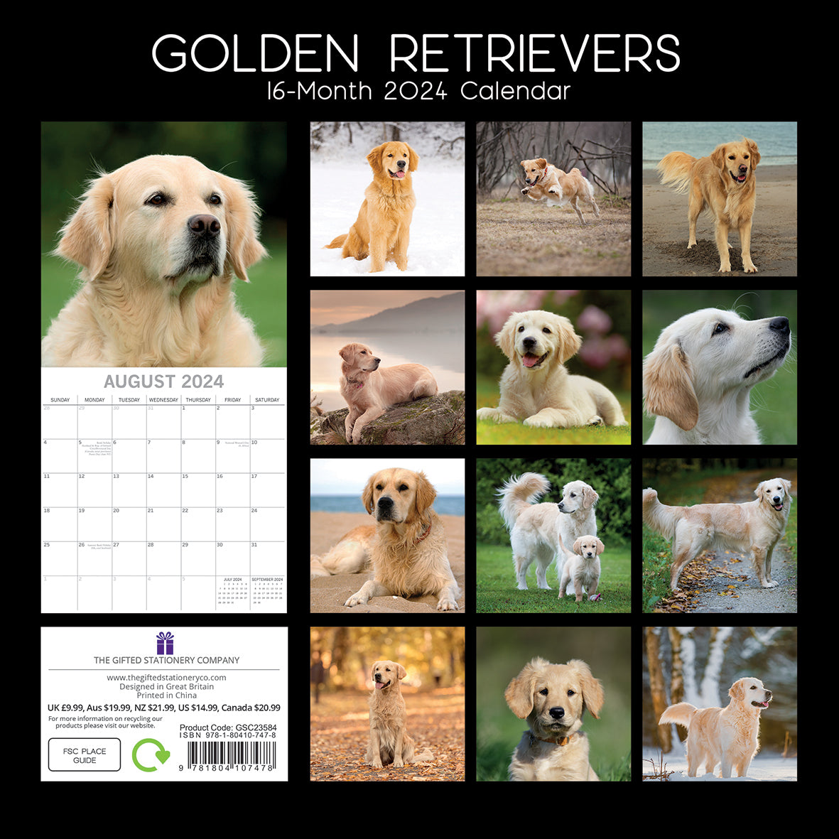 Golden Retrievers - 2024 Square Wall Calendar Pets Dog 16 Months Premium Planner