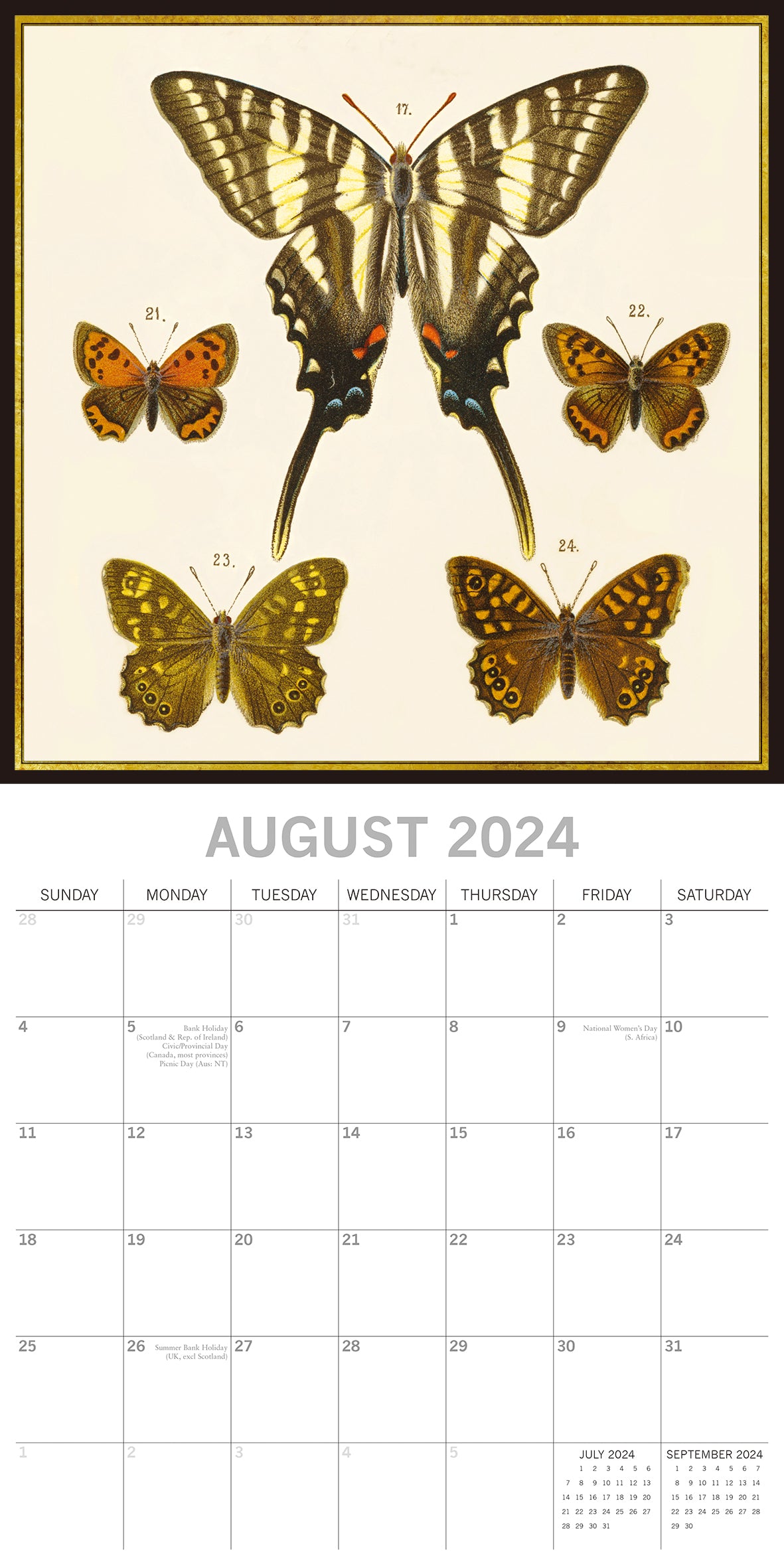 Insects 2024 Square Wall Calendar 16 Months Arts Planner Christmas New Year Gift