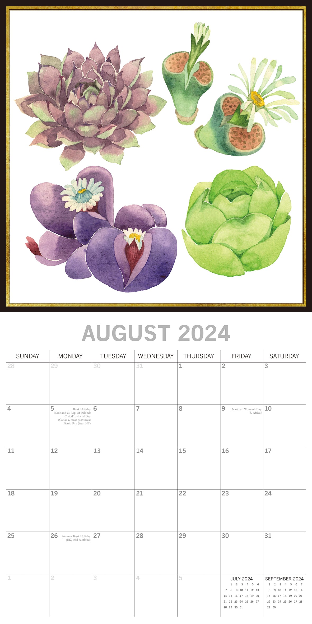 Succulents - 2024 Square Wall Calendar 16 Months Arts Planner Xmas New Year Gift
