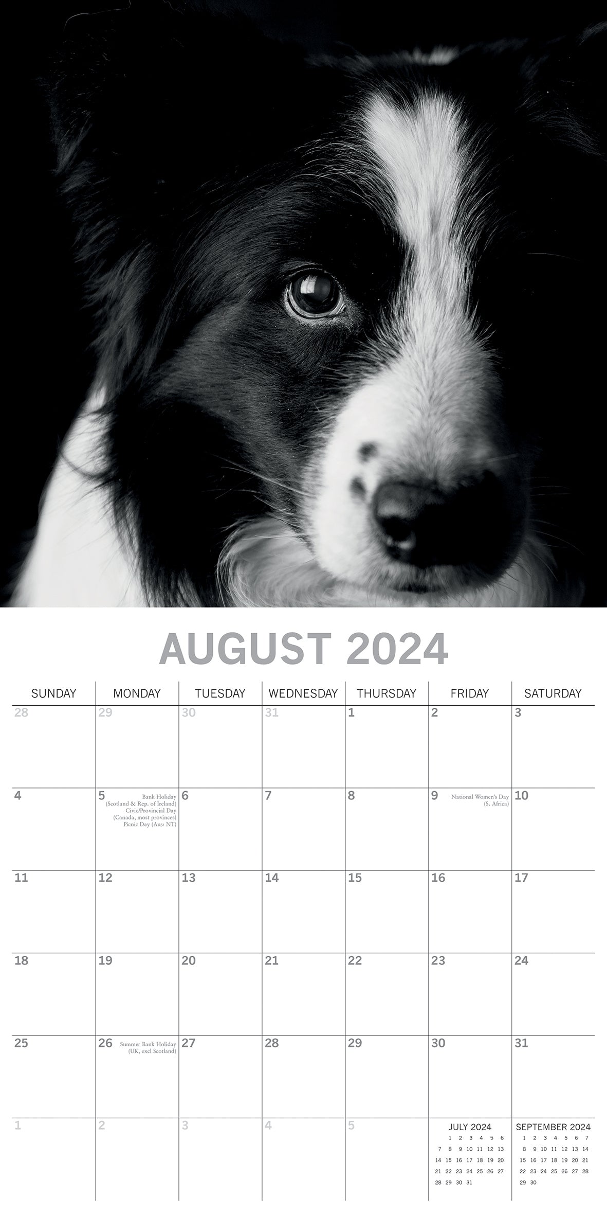 Dog Portraits - 2024 Square Wall Calendar 16 Months Black & White Planner Gift