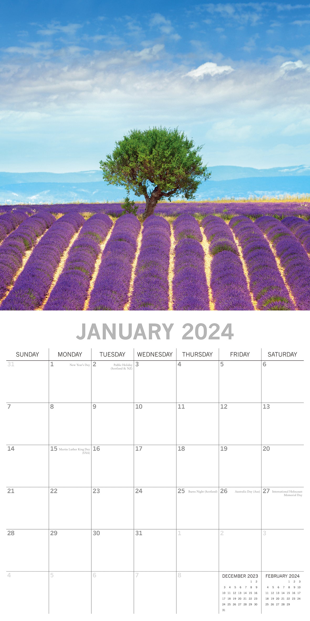 Lavender 2024 Square Wall Calendar 16 Months Floral Flower Planner New Year Gift