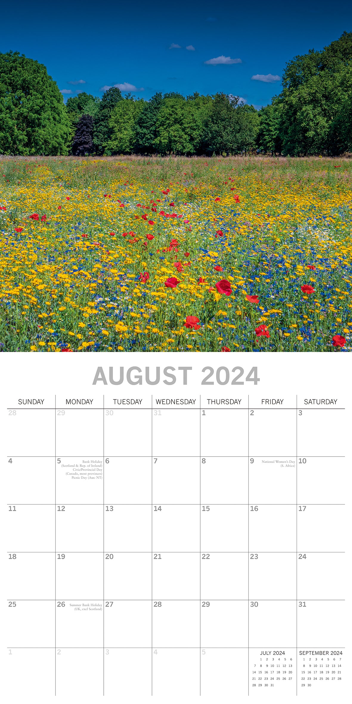Wild Flowers - 2024 Square Wall Calendar 16 Months Floral Planner Christmas Gift
