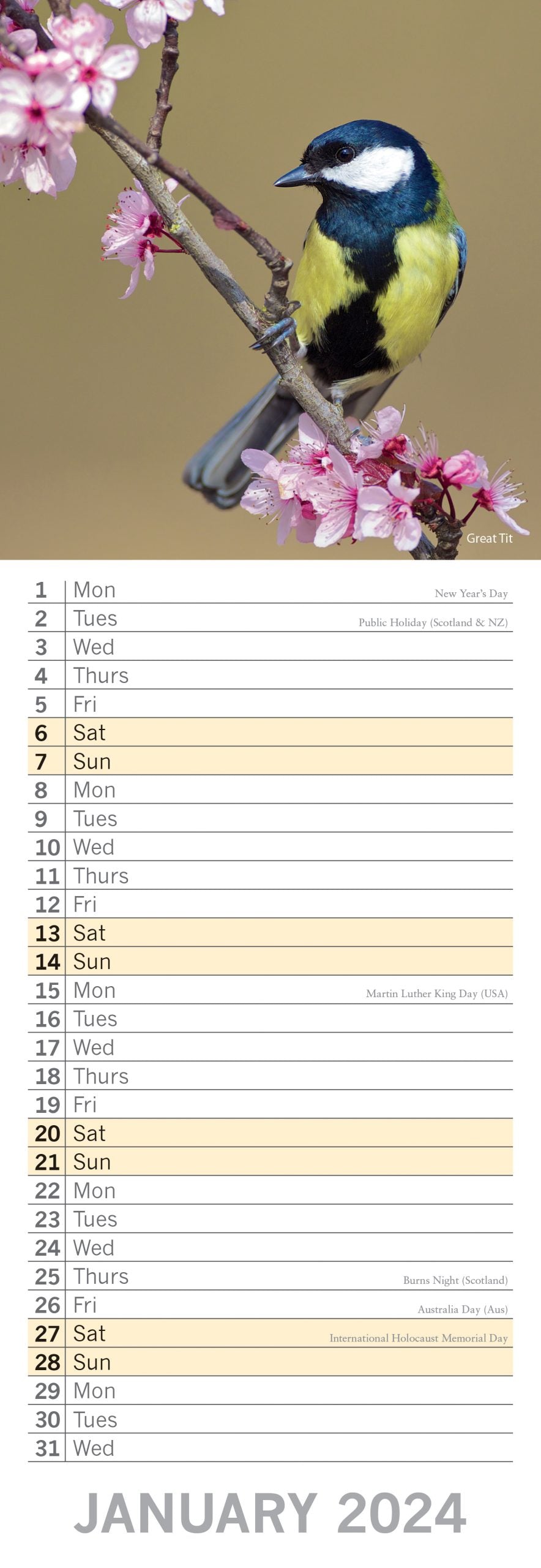 Birds - 2024 Slimline Slim Wall Calendar Hanging Planner New Year Gift