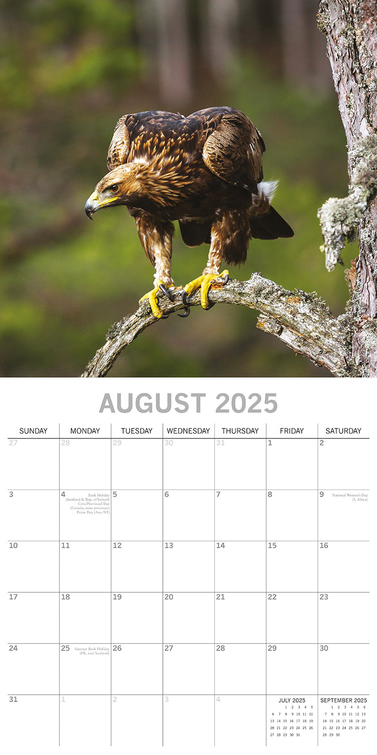 Country Wildlife - 2025 Square Wall Calendar Animals 16 Months Premium Planner