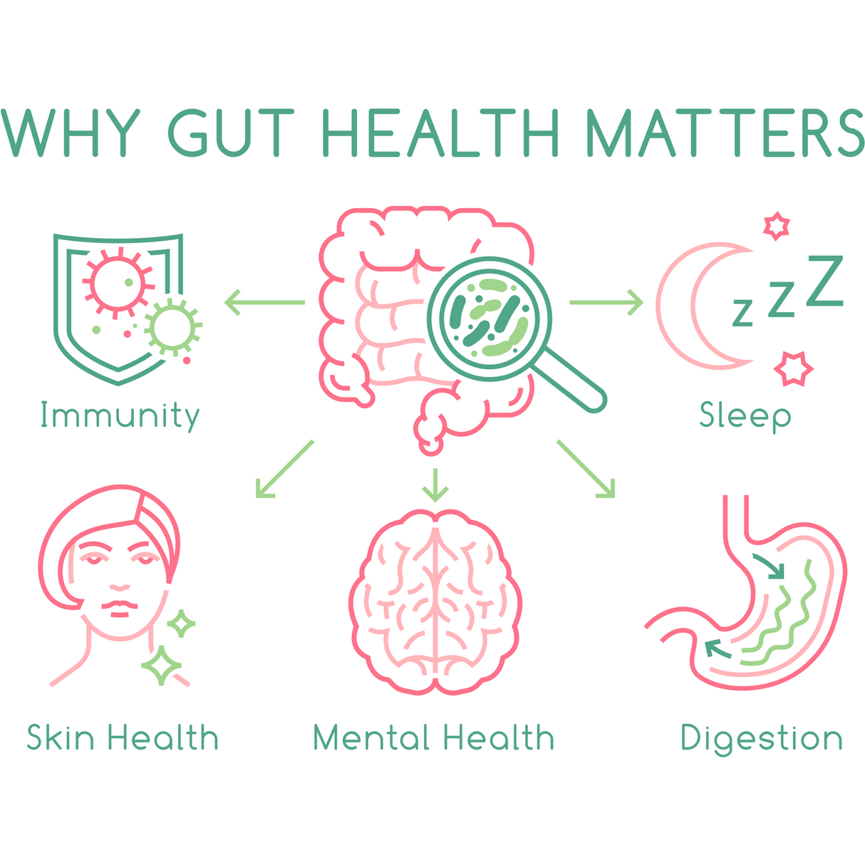 Fossil Shell Flour Powder - Food Grade Diatomaceous Earth - 250g