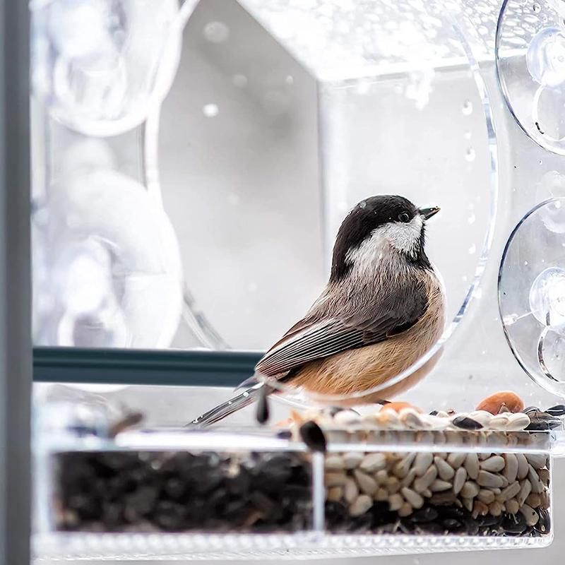 Clear Acrylic Window Bird Feeder with Strong Suction Cups and Removable Seed Tray