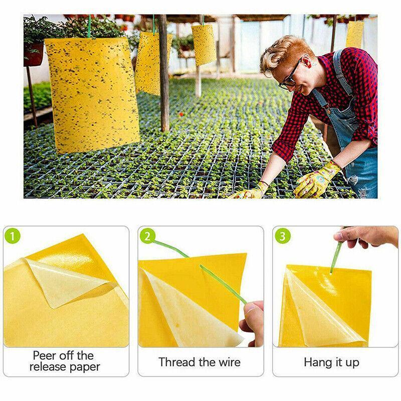 10PCS Yellow Sticky Paper Insect Trap Catcher Killer Fly Aphids Wasp - 25x10cm