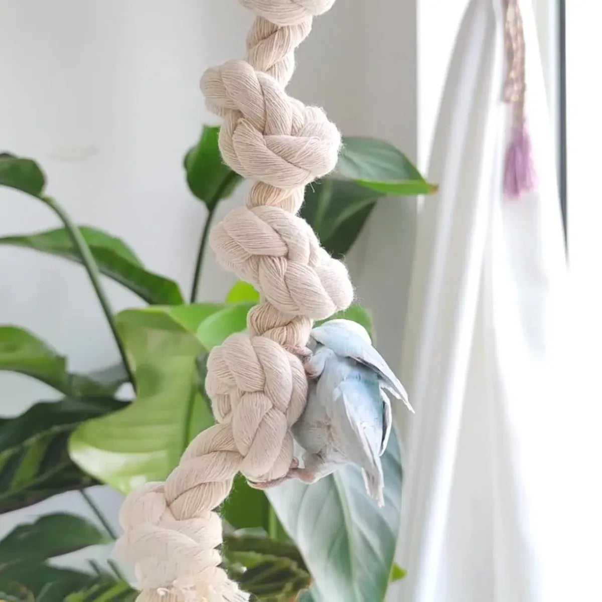 Parrot Chewing Climbing Rope Toy for Birds Cage Interactive Perch Play Equipment