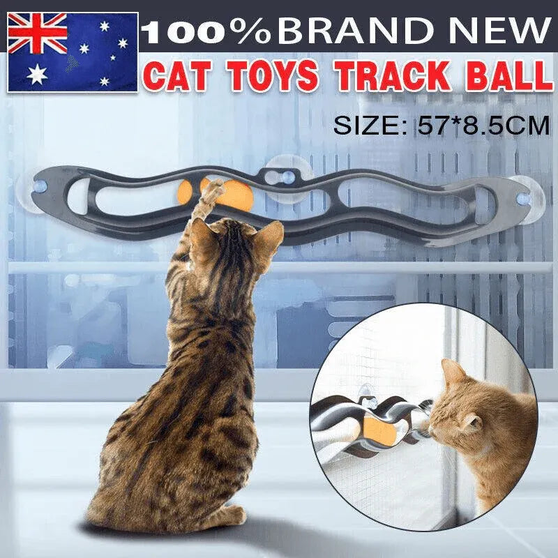 Interactive Cat Track Ball Toy with Window Suction Cup for Indoor Play and Exercise