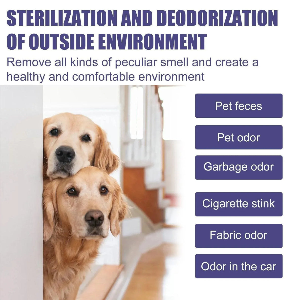Pet Deodorant Spray for Cats and Dogs Eliminates Urine Feces Odors Air Freshener