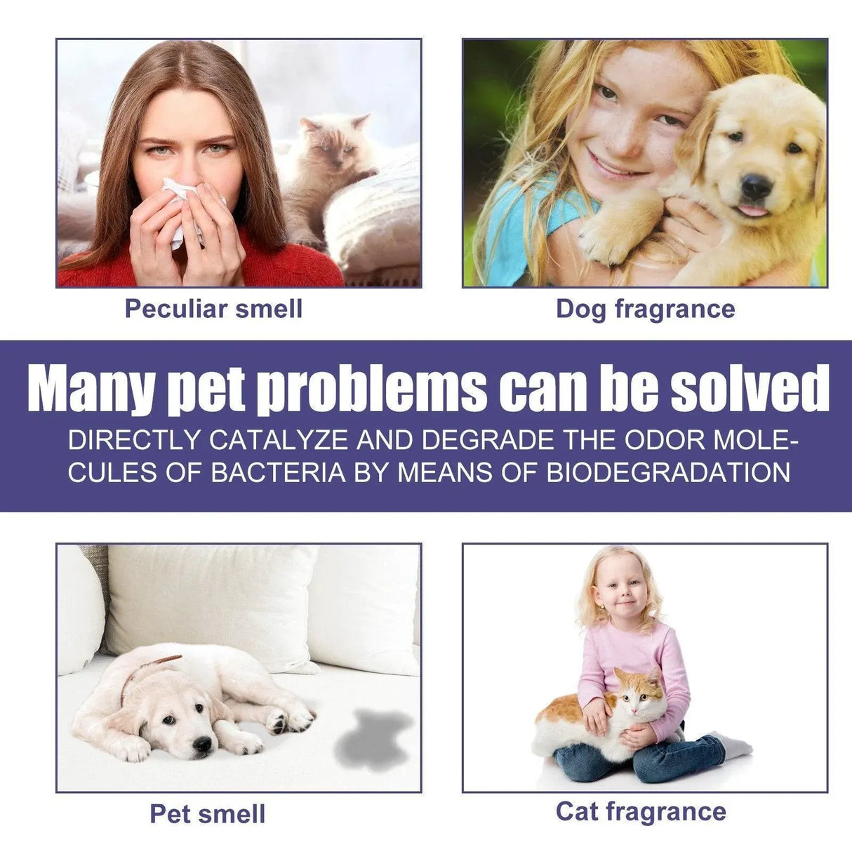 Pet Deodorant Spray for Cats and Dogs Eliminates Urine Feces Odors Air Freshener