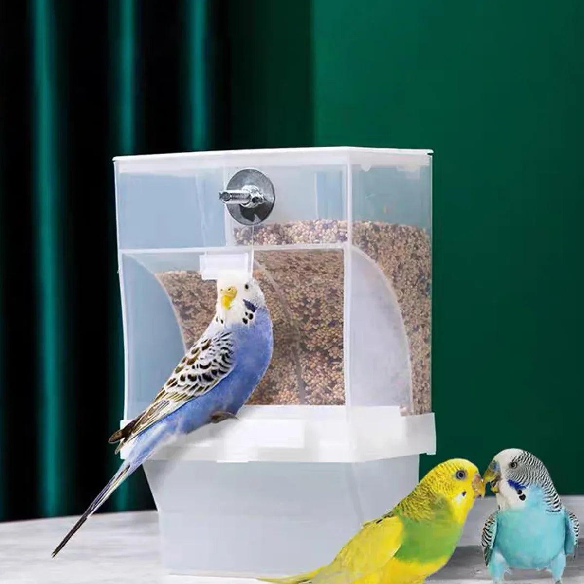 1 pc Automatic Bird Feeder Bird Feeder Cage Accessories Automatic Feed Cage - 425g
