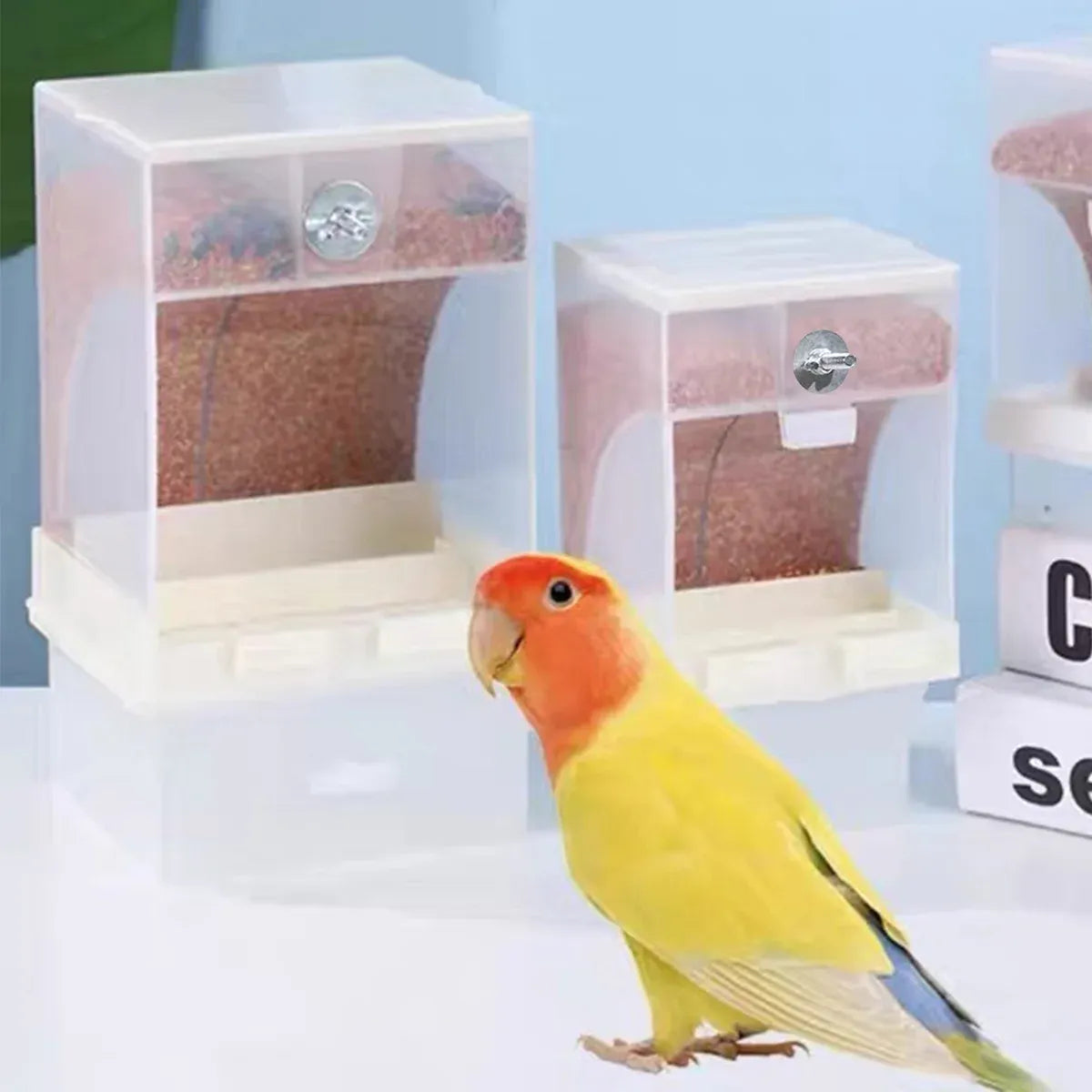 1 pc Automatic Bird Feeder Bird Feeder Cage Accessories Automatic Feed Cage - 425g