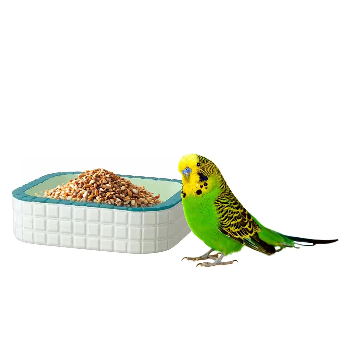 Small Pet Water Food Bowl Non Slip Durable for Birds Small Animals