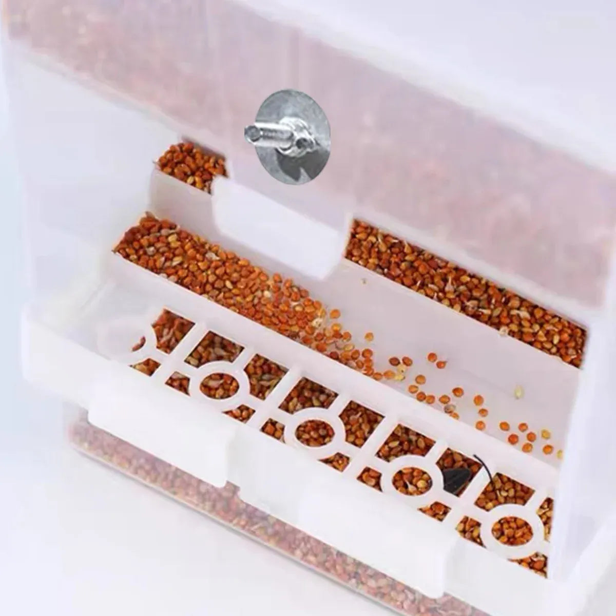 1 pc Automatic Bird Feeder Bird Feeder Cage Accessories Automatic Feed Cage - 850g
