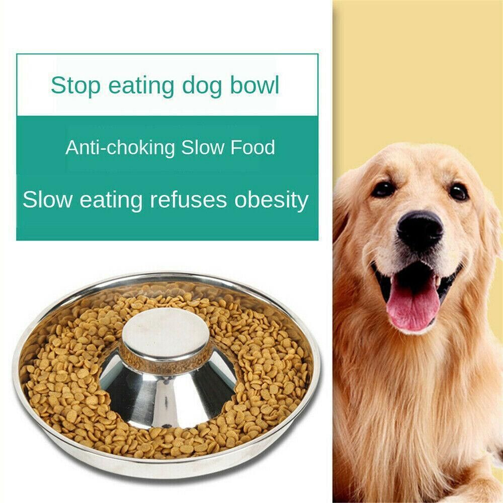 Stainless Steel Pet Bowl Slow Feeder Dish Puppy Dog Cat Food Feeding Weaning Bowl - M