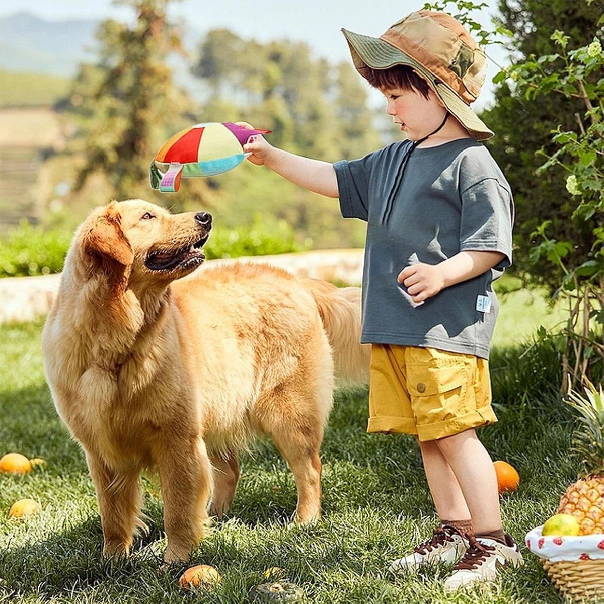 Interactive Dog Frisbee Puppy Teething Toy Pet Training Fetch Toy Outdoor