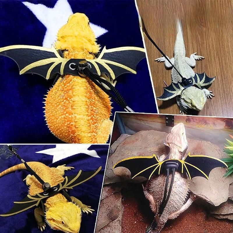 Lizard Harness Leash with Bat Wings Adjustable Reptile Lead for Bearded Dragons