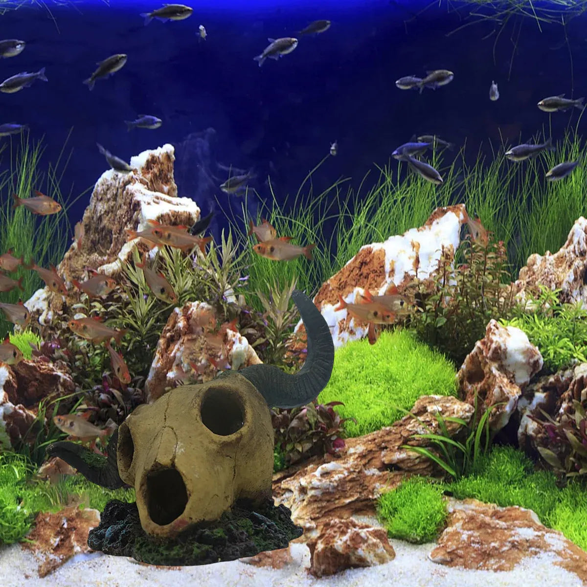 Fish Tank Crawler Climbing Pet Horror Landscape Decoration Simulation Decoration
