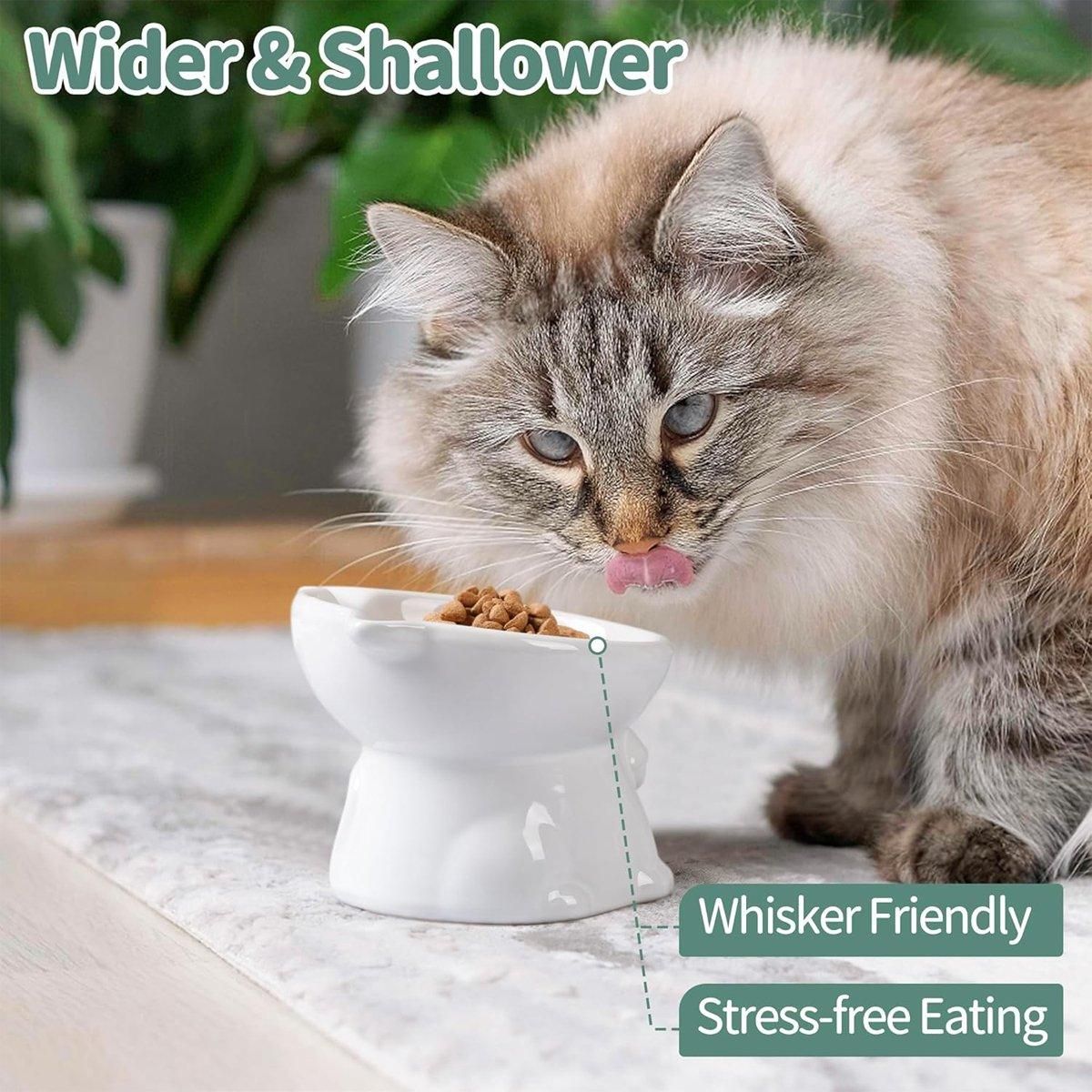 Ceramic Cat Bowl Cute Tall Raised Cat Food Bowl for Pets Eating Comfortably - Green