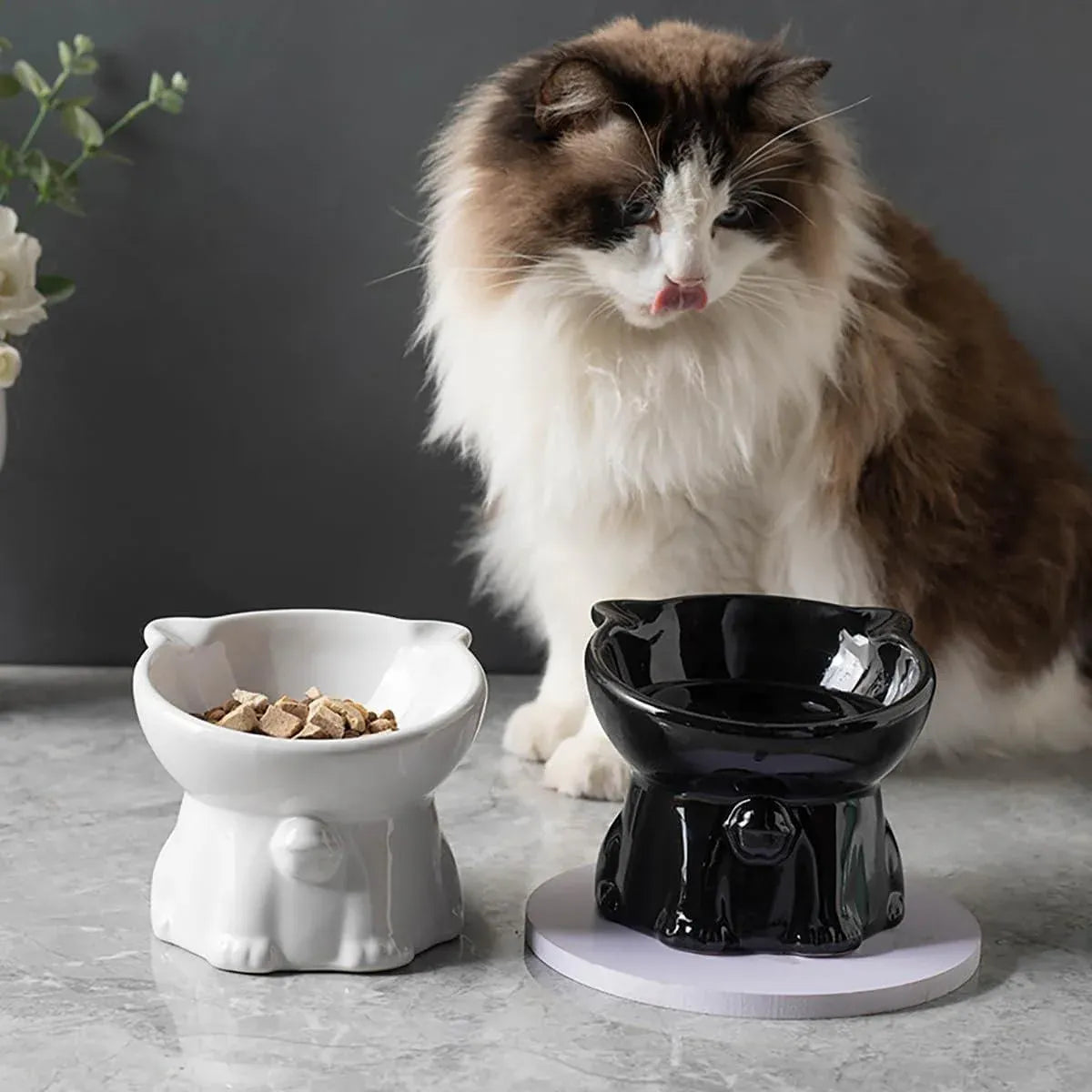 Ceramic Cat Bowl Cute Tall Raised Cat Food Bowl for Pets Eating Comfortably - Green