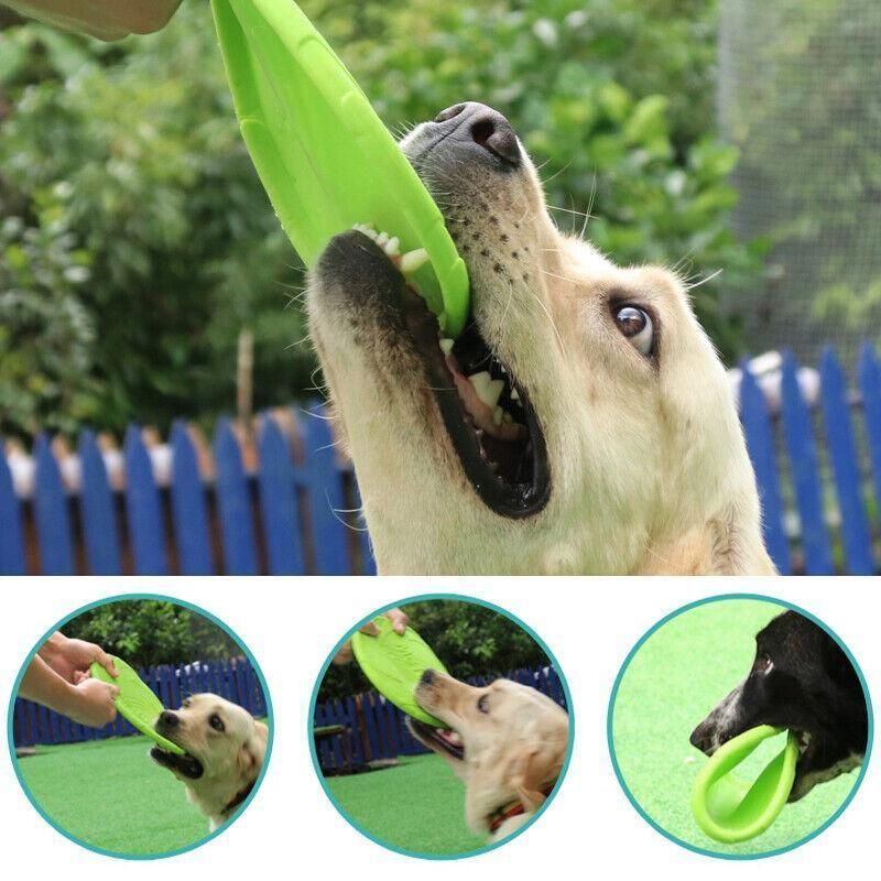Frisbee Toy for Dogs Outdoor Fetch Training Soft Rubber Pet Flying Disc 18cm - Red