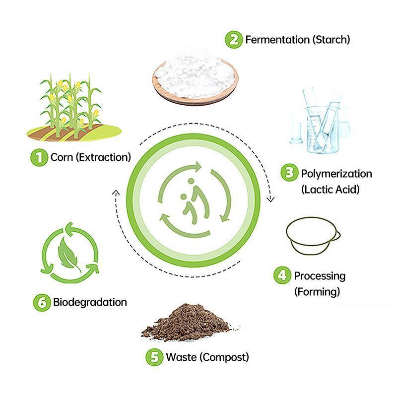 50PCS Biodegradable Corn Starch Lunch Box Round Takeout Containers Eco Friendly - 800ml